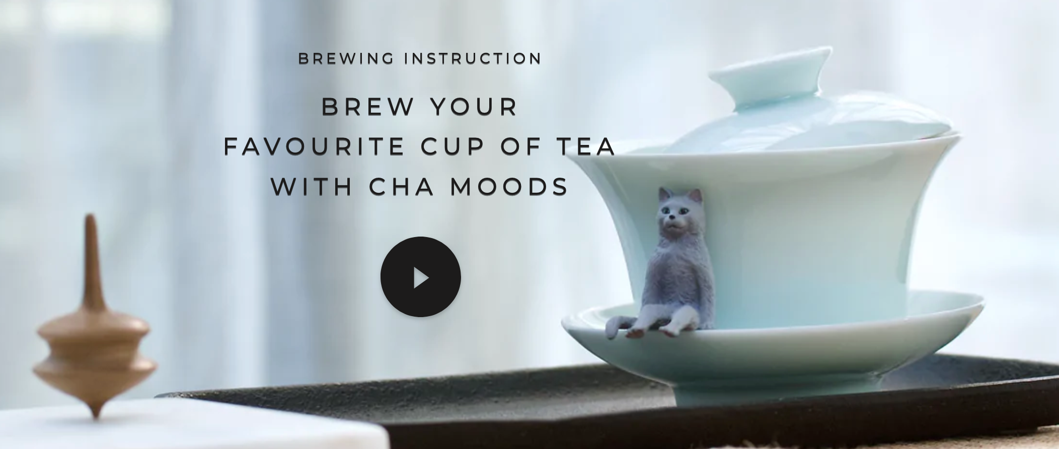 How to brew loose tea leaf premium chinese tea Cha Moods