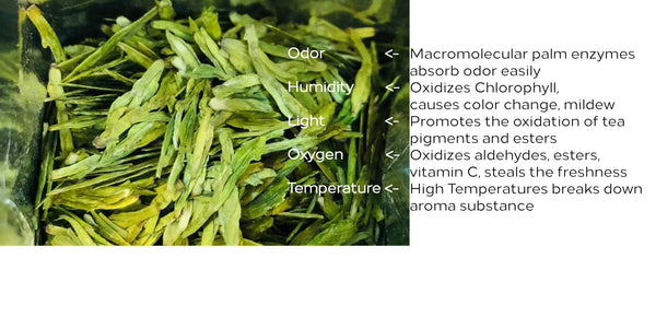 Five Tips for Green Tea Storage