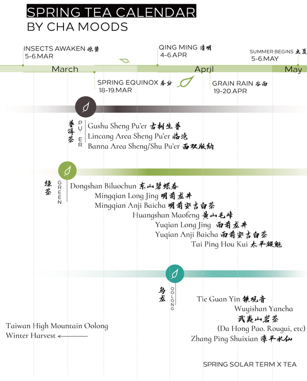 Chinese Spring Tea Harvest Calendar