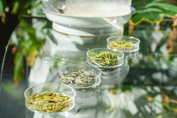 'Tea In Season' Quarterly Subscription previous Edition  subscription service- Cha Moods