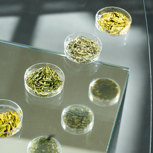2025 Ming Qian Green Tea Tasting Sampler | Pre Order Tea & Infusions- Cha Moods