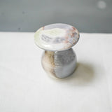 Raw Wood Fired Mushroom Teapets Teaware- Cha Moods