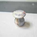 Raw Wood Fired Mushroom Teapets Teaware- Cha Moods