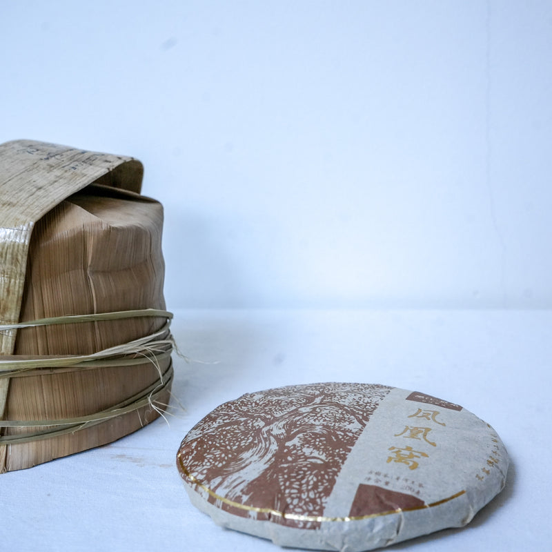 2023 Spring Feng Huang Wo Gushu Sheng Pu’er | Pu'er Tea  Tea & Infusions- Cha Moods