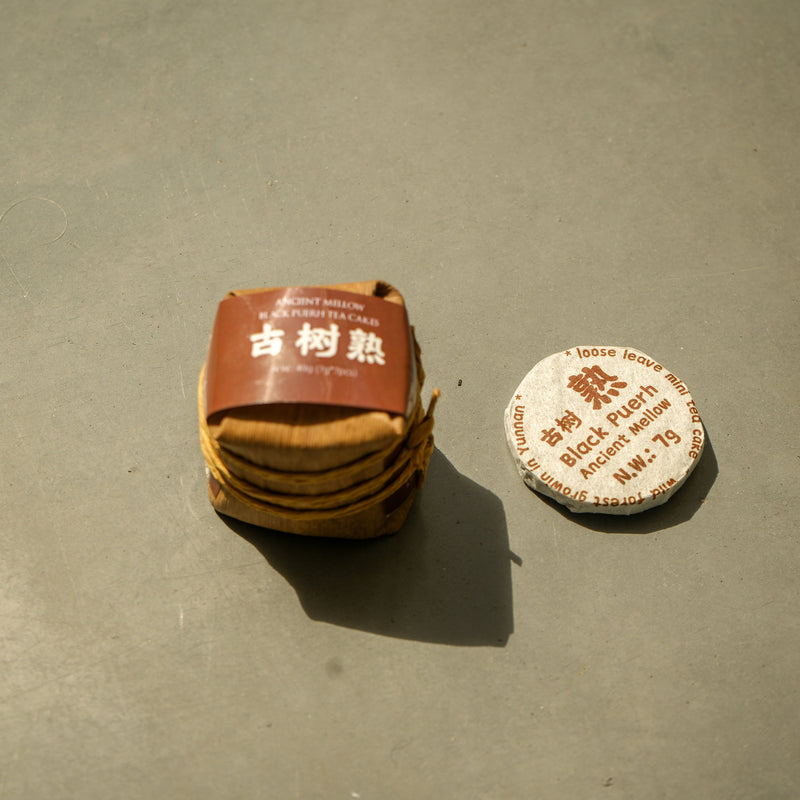 2021 Menghai Mini Gushu Shu Pu'er Tong | Pu'er Tong Tea & Infusions- Cha Moods