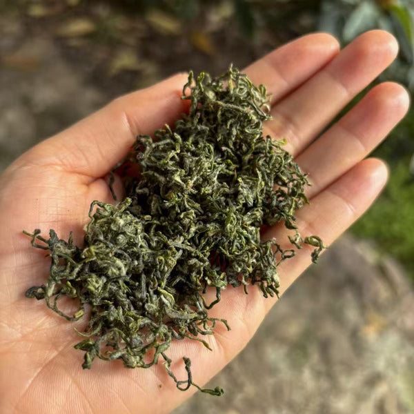 2025 Ming Qian Green Tea Tasting Sampler | Pre Order Tea & Infusions- Cha Moods
