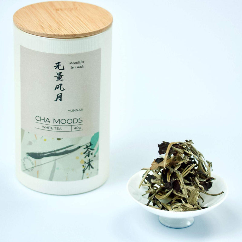 Tea Caddy + Porcelain Teaware Gift Set Azure+Moonlight White Tea 40g Teaware- Cha Moods