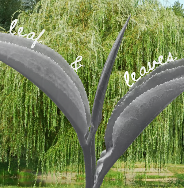 leaf and leaves - outdoor tea session Event Tickets- Cha Moods