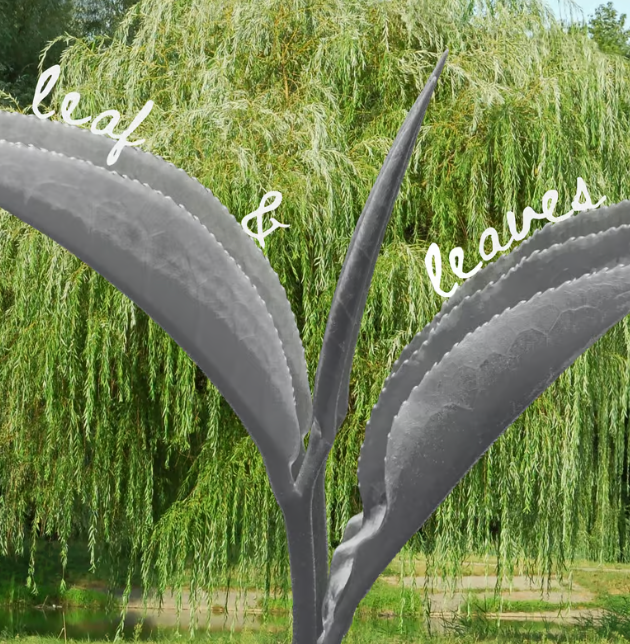 leaf and leaves - outdoor tea session Event Tickets- Cha Moods