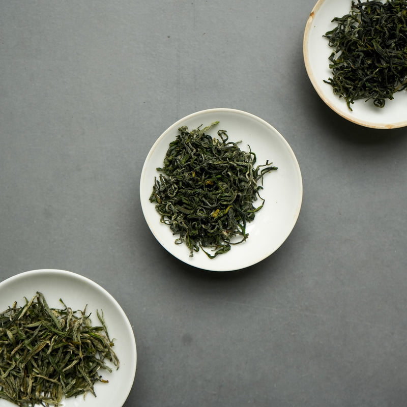 2025 First Flush Shimen Yinfeng | Green Tea Tea & Infusions- Cha Moods