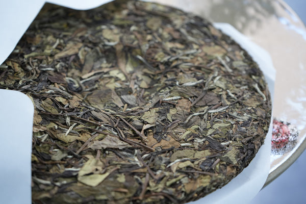 2020 Laoshu Gongmei Cake  | White Tea | Mei Xiangjing  Tea & Infusions- Cha Moods