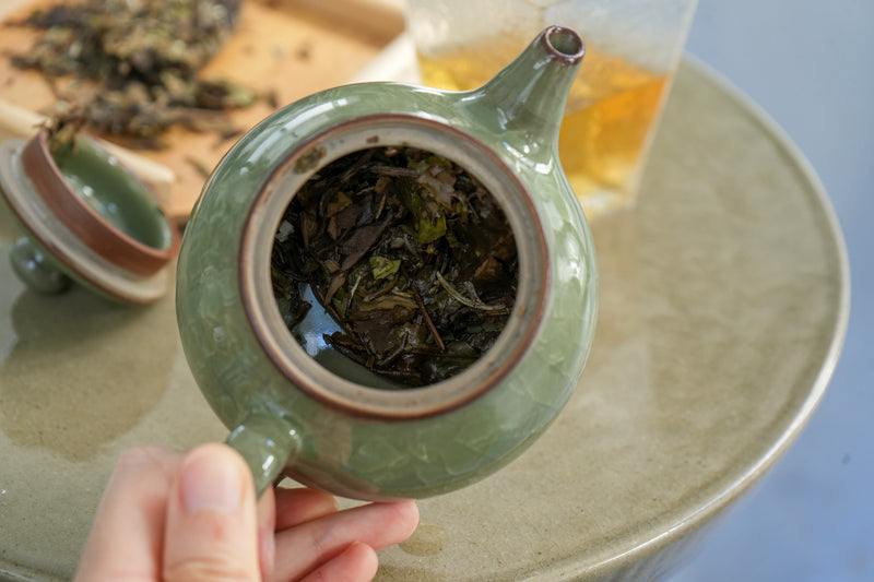 2020 Laoshu Gongmei Cake  | White Tea | Mei Xiangjing  Tea & Infusions- Cha Moods