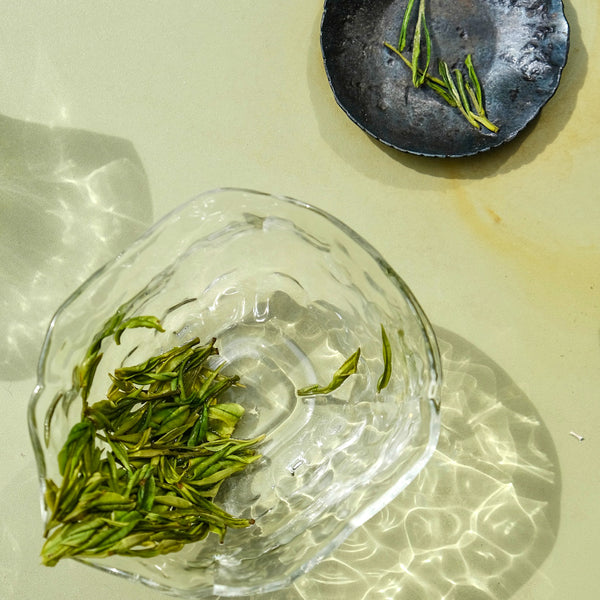 2025 First Flush Anji Bai Cha| Green Tea Tea & Infusions- Cha Moods