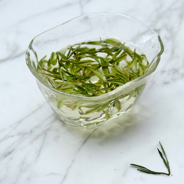2024 First Flush Anji Bai Cha| Green Tea  Tea & Infusions- Cha Moods