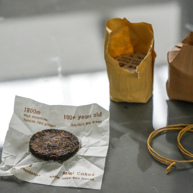 2021 Menghai Mini Gushu Shu Pu'er Tong | Pu'er Tong