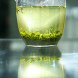 Gyokuro Sasahime | Green Tea  Tea & Infusions- Cha Moods