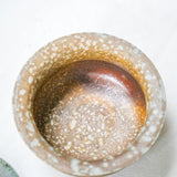 Raw 'Golden Pearl' Wood Fired Ceramic Gaiwan 110ml