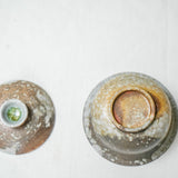 Raw 'Tidal Pool' Wood Fired Ceramic Gaiwan 110ml