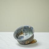 Raw 'Ghose Spring' Wood Fired Ceramic Gaiwan 100ml Teaware- Cha Moods