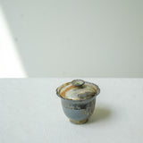 Raw 'Ash Bloom' Wood Fired Ceramic Gaiwan 100ml