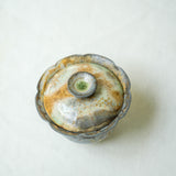 Raw 'Ash Bloom' Wood Fired Ceramic Gaiwan 100ml