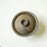 Raw 'Kiln Shadow' Wood Fired Ceramic Gaiwan 110ml