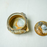 Raw ‘Tiger Cat' Wood Fired Porcelain Treasure Teapot 110ml