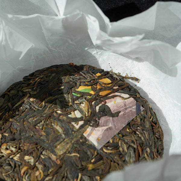 Treat yourself Young Sheng Pu'er Tasting Set Tea & Infusions- Cha Moods