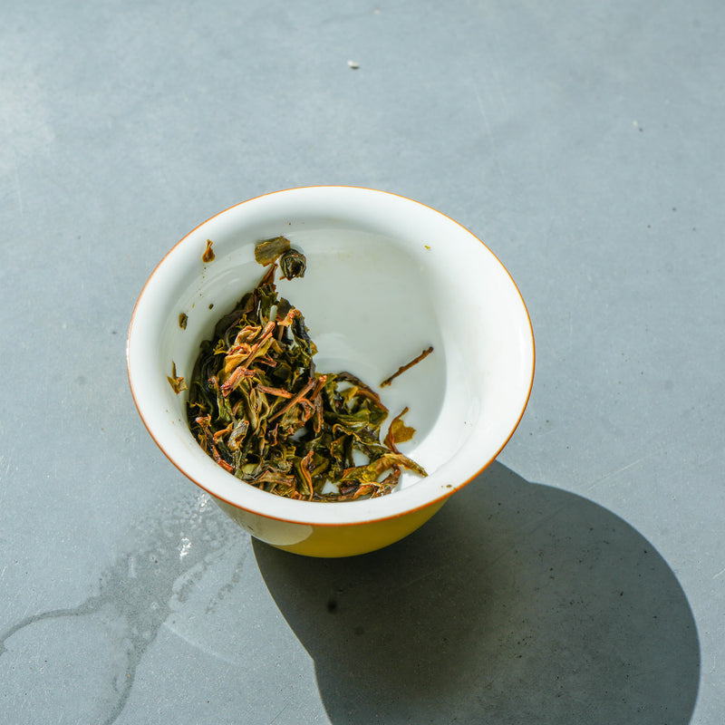 Floral Flex - 2023 Xigui Dashu Sheng Pu'er Tea & Infusions- Cha Moods