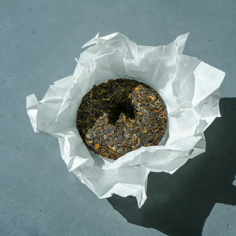Lychee Thunder - 2024 Kuzhushan Gushu Sheng Pu'er Tea & Infusions- Cha Moods