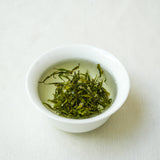 2026 First Flush Song Luo Tea & Infusions- Cha Moods