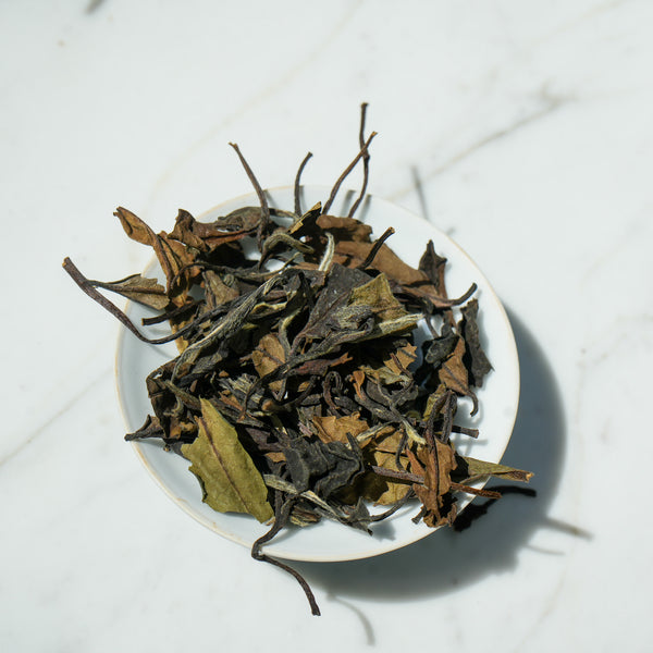 2013 Aged Wild White Peony  | White Tea  Tea & Infusions- Cha Moods