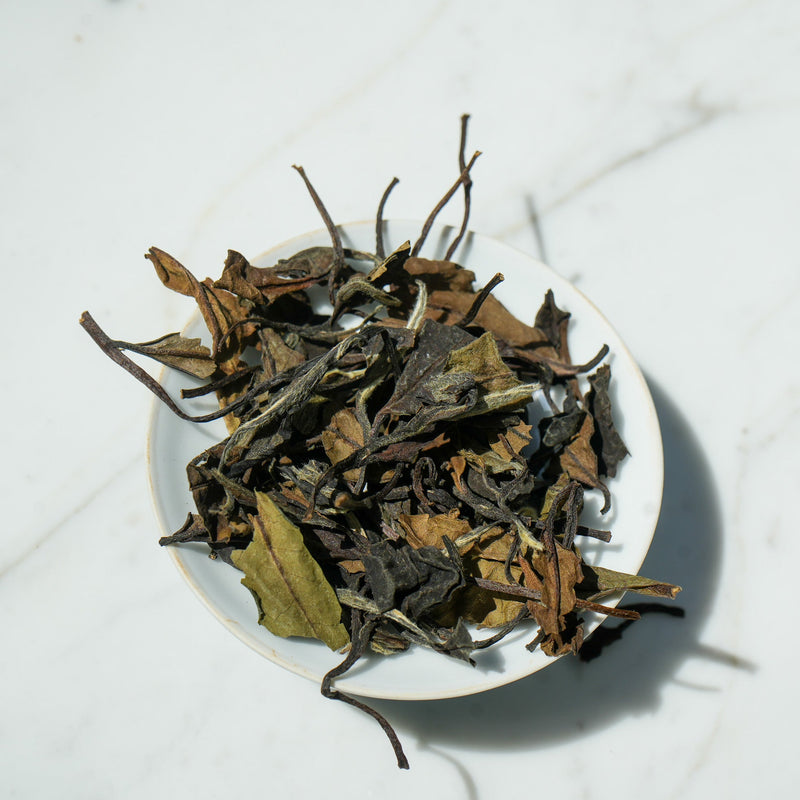 2013 Aged Wild White Peony  | White Tea  Tea & Infusions- Cha Moods