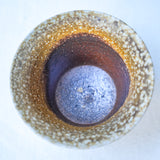 Raw 'Golden Ash' Wood Fired Ceramic Gaiwan 110ml