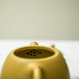Yixing Longdan Duanni Teapot 200ml Teapot- Cha Moods