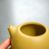 Yixing Longdan Duanni Teapot 200ml Teapot- Cha Moods