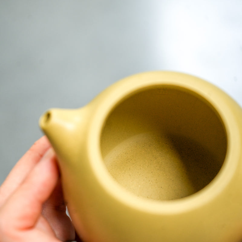 Yixing Longdan Duanni Teapot 200ml Teapot- Cha Moods