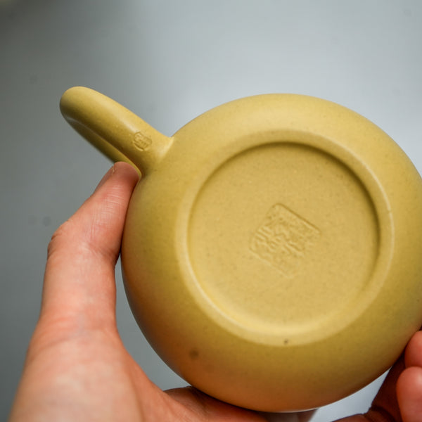 Yixing Longdan Duanni Teapot 200ml Teapot- Cha Moods