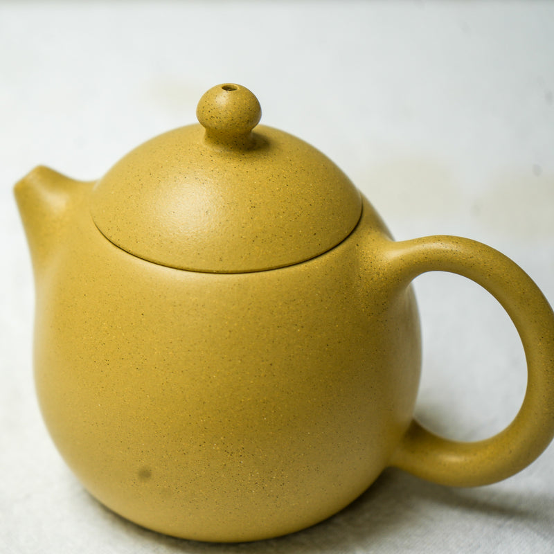 Yixing Longdan Duanni Teapot 200ml Teapot- Cha Moods