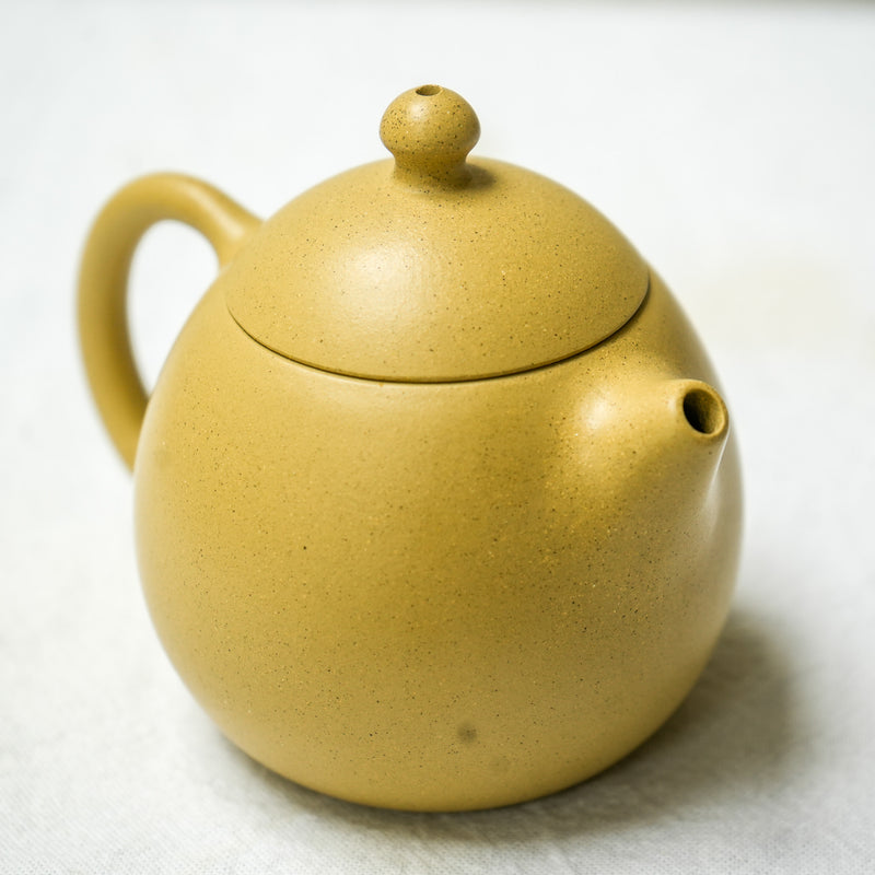 Yixing Longdan Duanni Teapot 200ml Teapot- Cha Moods