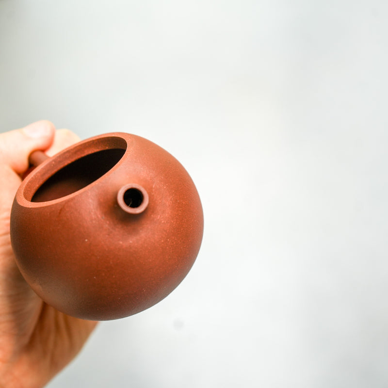 Yixing Pufferfish Xishi Zisha Teapot 120ml Teapot- Cha Moods