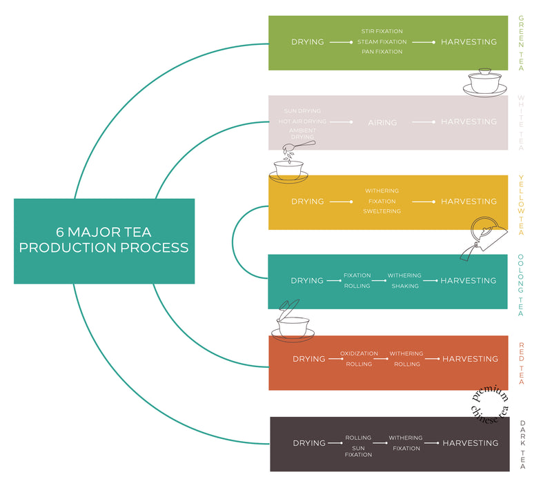 6_major_types_of_Chinese_Tea_Production_Process