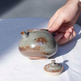 Watercolor 'Vintage Steel' Teapot 220ml  Teaware- Cha Moods
