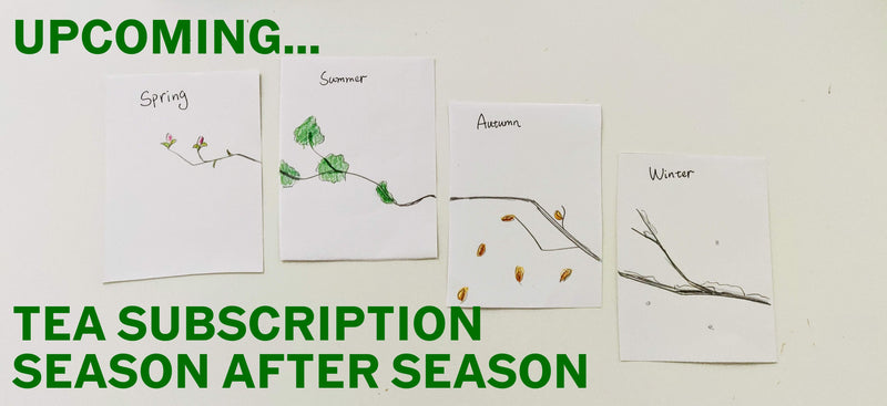 'Tea In Season' Quarterly Subscription  subscription service- Cha Moods