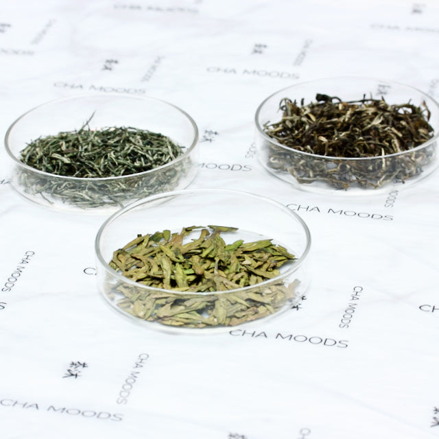 Fresh Green Tea Tasting Set Tea Samples Loose tea ChaMoods Cha