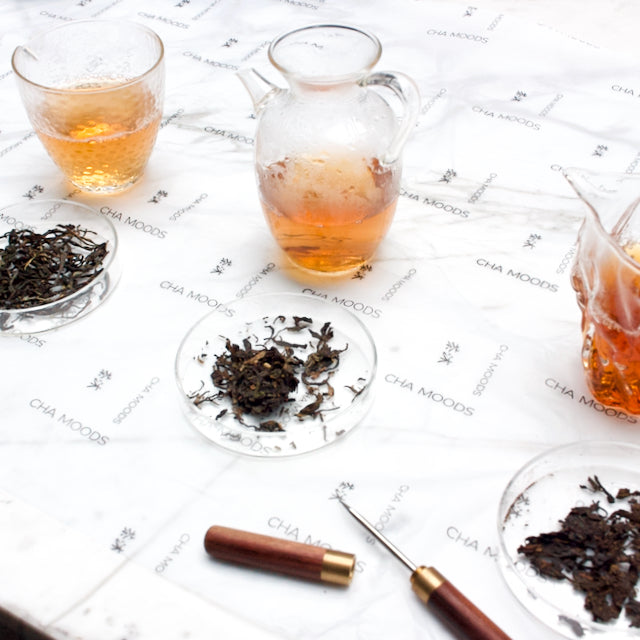 Pu'er Tea Tasting Sampler | Tea Master  Tea & Infusions- Cha Moods