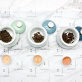 Pu'er Tea Tasting Sampler | Tea Master  Tea & Infusions- Cha Moods