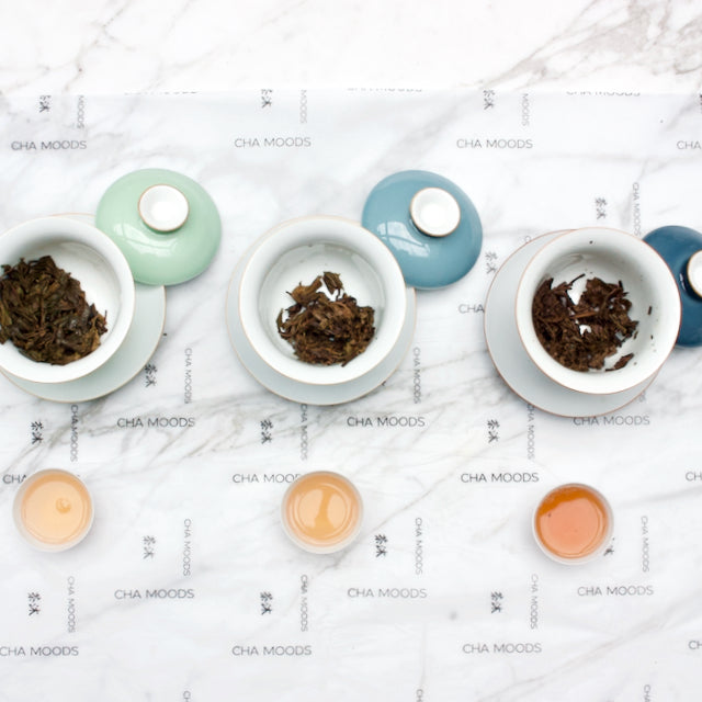 Pu'er Tea Tasting Sampler | Tea Master  Tea & Infusions- Cha Moods