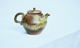 Watercolor 'Forest Green South' Teapot 220ml  Teaware- Cha Moods