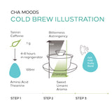 Cold Brew Tea Set  - Cha Moods